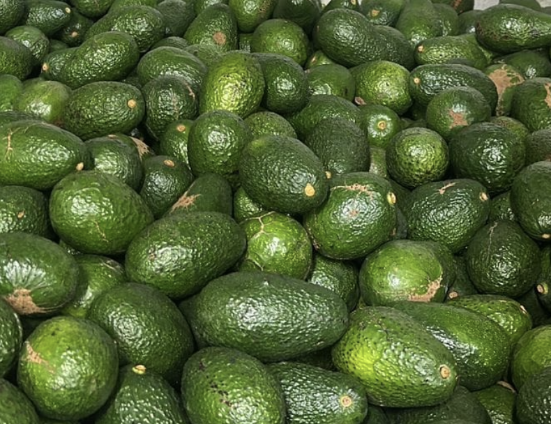 Palta Hass DESCARTE 10 KG